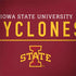 Iowa State University Athletic Text MacBook Skins